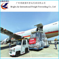 Dla Cheap Global Logistics Shipping Services Air Freigth Cost From China to Worldwide (Belgium)